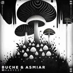 Buche & Asmiar - Harvest