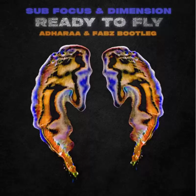 Sub Focus & Dimension - Ready To Fly (Adharaa & Fabz Bootleg)